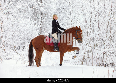 Blonde 22-anno della ragazza dressage il suo cavallo in un paesaggio di neve,concentrarsi sulla ragazza Foto Stock