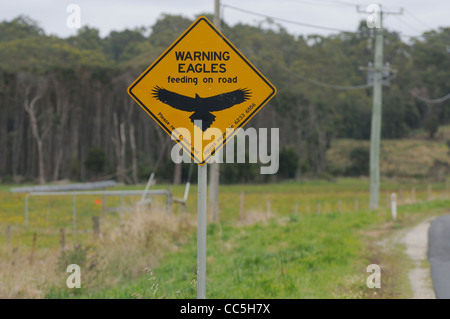 Cuneo-tailed Eagle Aquila audax strada segno di avvertimento fotografato in Tasmania, Australia Foto Stock