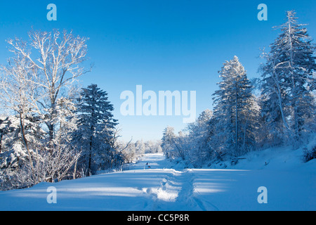 Lianhua Mountain Ski Resort, Changchun, Jilin , Cina Foto Stock