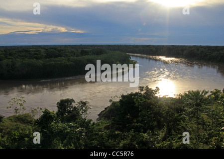 Primario della foresta di pioggia visto dall'aria nella regione di Madre de Dios, Perù (Amazon) Foto Stock