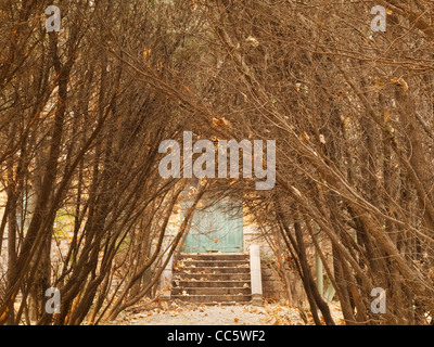 Avenue verso una dimora in autunno, Qingdao, Shandong, Cina Foto Stock