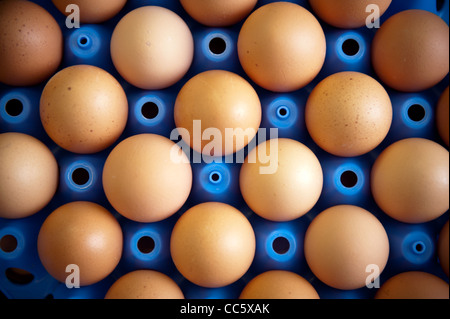 Una cremagliera di intervallo libero uova sul display Foto Stock