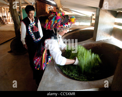 Hani donna Friggere le foglie di tè, Mahei Village, Yiwu, Xishuangbanna, Yunnan , Cina Foto Stock