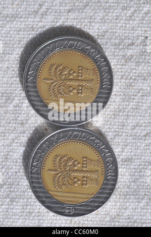 Dieci nuovi sheqel israeliano coin Foto Stock