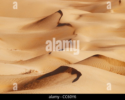 Deserto Taklamakan, Xinjiang Uyghur Regione autonoma, Cina Foto Stock