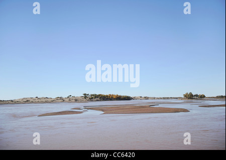 Tarim fiume Eufrate Tarim Pioppo Riserva Naturale Nazionale, Xinjiang Uyghur Regione autonoma, Cina Foto Stock