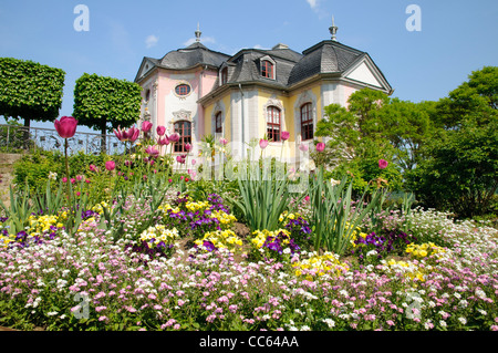 Palazzo Rokoko-Schloss, Dornburg Castelli, Dornburg, Turingia, Germania, Europa Foto Stock