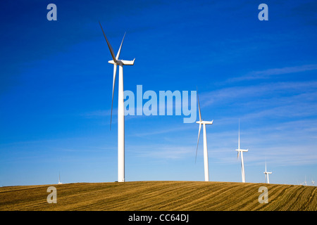 Le turbine eoliche dot l'orizzonte in parchi eolici lungo il Columbia River Gorge, Oregon e Washington Foto Stock