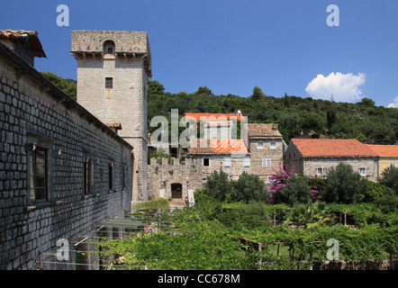 Skocibuha castello sull'isola di Sipan, Croazia Foto Stock