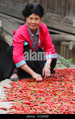 Red Yao donna asciugando il pepe di cayenna Huangluo Yao villaggio, Longsheng, Guilin, Guangxi , Cina Foto Stock