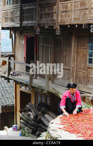 Red Yao donna asciugando il pepe di cayenna Huangluo Yao villaggio, Longsheng, Guilin, Guangxi , Cina Foto Stock