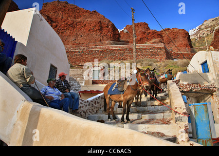 Cavalli, asini, muli sono ancora oggi utilizzato per trasportare i visitatori da Ammoudi (nella foto) al villaggio di Oia - Santorini, Grecia Foto Stock