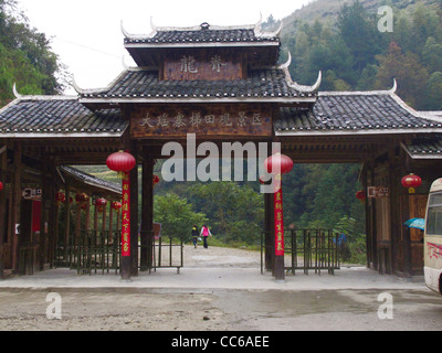 Longji (Dragon's Backbone) Campi di riso terrazzati Foto Stock