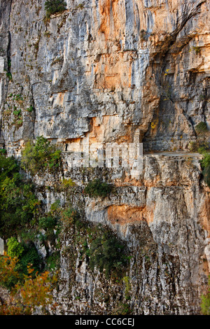 Il percorso mozzafiato, appesa sopra una rupe di centinaia di metri al di sopra di Vikos, vicino a Agia Paraskevi monastero, Zagori. Foto Stock