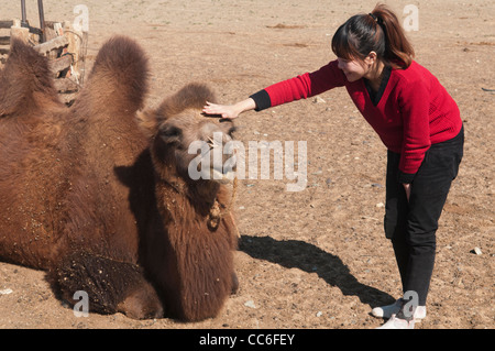 Turistico con una doppia humped Bactrian cammello nel deserto del Gobi della Mongolia Foto Stock