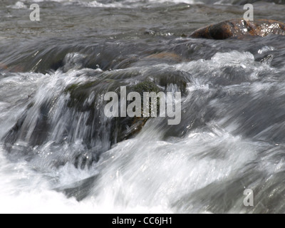 Fiume 'White Rain' Foresta Bavarese Germania / Fluss " Weisser Regen' Bayerischer Wald Deutschland Foto Stock