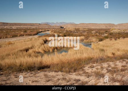 Foto da un sentiero natura a Rio Grande villaggio, parco nazionale di Big Bend, Texas Foto Stock