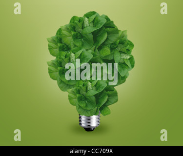 Concetto di ecologia, verde lampadina come una struttura ad albero. Foto Stock