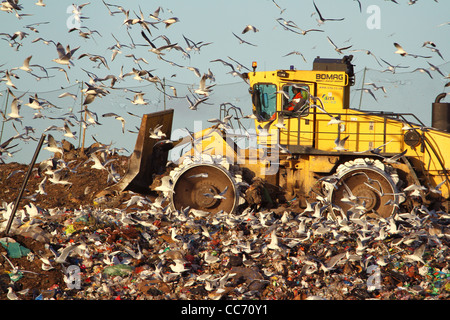 Un sito di discarica in Huntingdon, Cambridgeshire Foto Stock