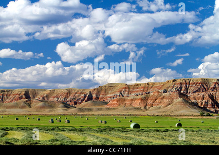 Rocce Rosse e appena raccolte di fieno di erba medica nei pressi di Dubois, Wyoming negli Stati Uniti. Foto Stock