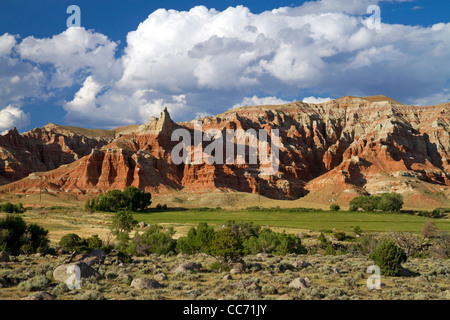 Rocce Rosse e appena raccolte di fieno di erba medica nei pressi di Dubois, Wyoming negli Stati Uniti. Foto Stock