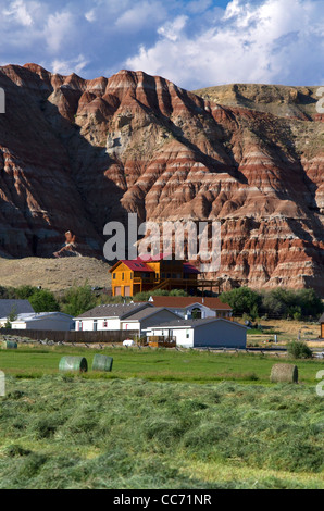 Rocce Rosse e appena raccolte di fieno di erba medica nei pressi di Dubois, Wyoming negli Stati Uniti. Foto Stock