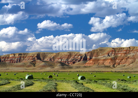 Rocce Rosse e appena raccolte di fieno di erba medica nei pressi di Dubois, Wyoming negli Stati Uniti. Foto Stock