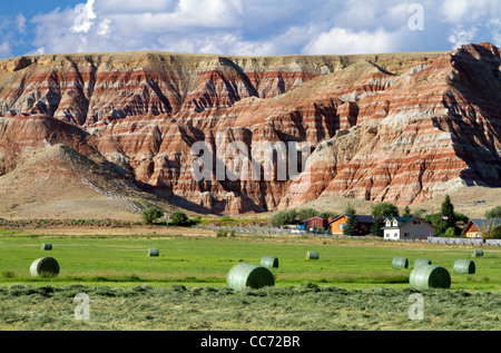 Rocce Rosse e appena raccolte di fieno di erba medica nei pressi di Dubois, Wyoming negli Stati Uniti. Foto Stock