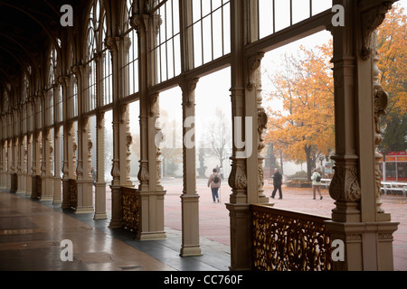 Europa, Repubblica Ceca, Marianske Lazne. Struttura in ghisa nella del colonnato Foto Stock