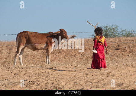 Bambina in abito rosso e una mucca divisa da filo spinato, Pushkar, Rajasthan, India Foto Stock