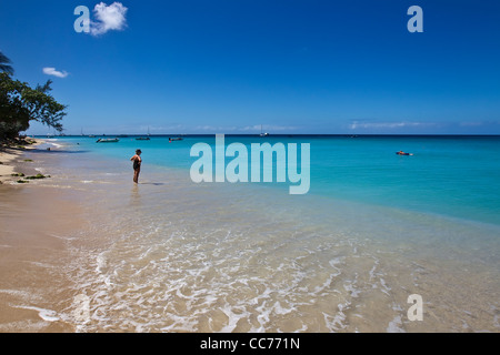 Mar dei Caraibi lungo la costa di platino, St James, Costa Ovest, Barbados, West Indies Foto Stock