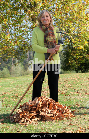 La donna a rastrellare le foglie di autunno Foto Stock
