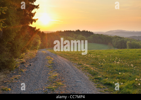 Wissinghausen, Medebach, Hochsauerland, Nord Reno-Westfalia, Germania Foto Stock