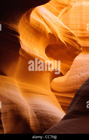 Passaggio incandescente in Canyon X slot canyon, Pagina, Arizona, Stati Uniti d'America Foto Stock