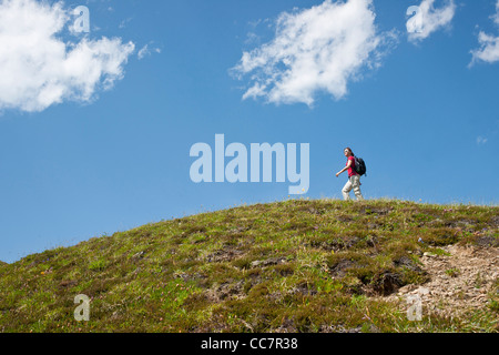 Donna escursionismo sulla cima della montagna, Oberland bernese, Svizzera Foto Stock