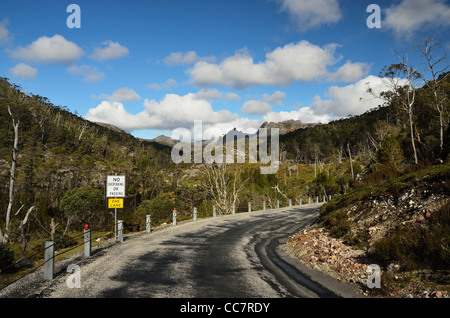 La strada attraverso Cradle Mountain-Lake St Clair National Park, Patrimonio Mondiale UNESCO Area, Tasmania, Australia Foto Stock