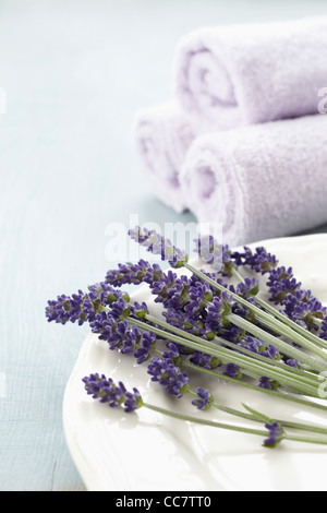 La Lavanda sulla piastra con asciugamani Foto Stock