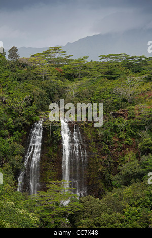 Opaeka'a Falls, Kauai, Hawaii, STATI UNITI D'AMERICA Foto Stock