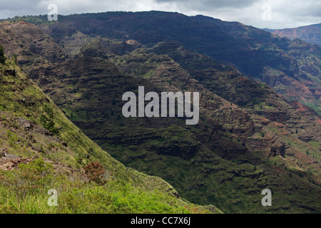 Il Canyon di Waimea, Waimea Canyon State Park, Kauai, Hawaii, STATI UNITI D'AMERICA Foto Stock