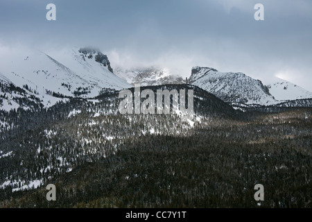 Parco nazionale Great Basin, Nevada, STATI UNITI D'AMERICA Foto Stock