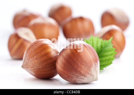 Noci nocciole isolati su sfondo bianco. Foto Stock