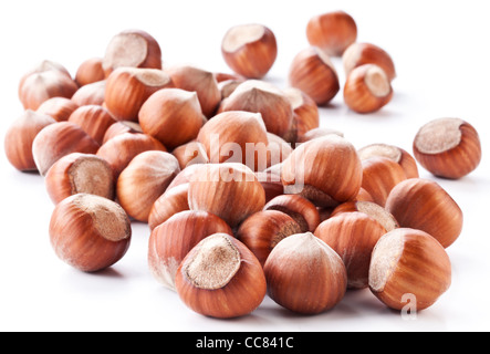 Noci nocciole isolati su sfondo bianco. Foto Stock