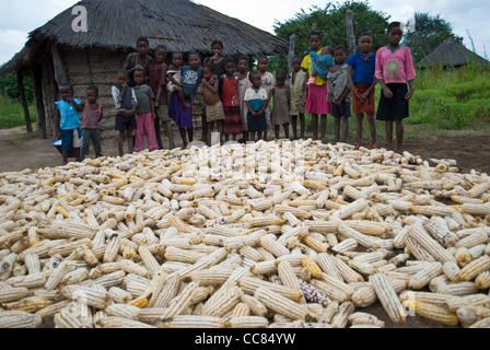 I bambini dello Zambia si sono riuniti con il raccolto di mais. Foto Stock