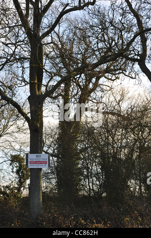 HS2 Offchurch Warwickshire. No per HS2 sign in vecchi alberi di quercia vicino all'inizio della Greenway. Foto Stock