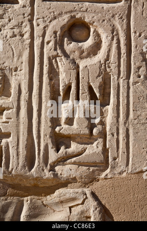 Vista del cartiglio sovrascritto sul primo pilone presso il tempio del faraone Ramesse III, Medinet Habu, West Bank, Luxor, Egitto Foto Stock