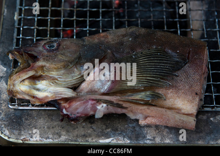 Frutti di mare sul barbeque in Hokkaido, Giappone. Il Giappone è un paese che vive vicino con la natura e con il mare. Frutti di mare è un essenziale Foto Stock