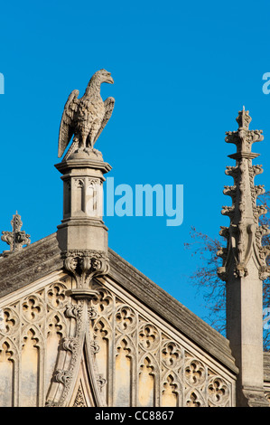 Una pietra eagle su St John's College, Università di Cambridge, Inghilterra. Foto Stock