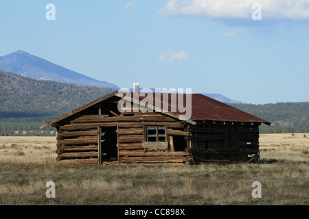 Rundown old log cabin in campo in Northern Arizona Foto Stock