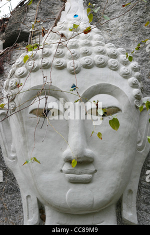 Dettaglio 2 Tham Tu Pu Buddha sulla roccia, Chiang Rai. Thailandia. Foto Stock