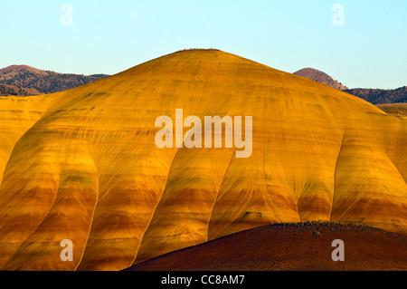 Colline dipinte in unità di John Day Fossil Beds National Monument Foto Stock